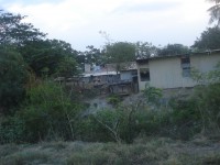 /album/dili-/a01-dili-2012-21-jpg/